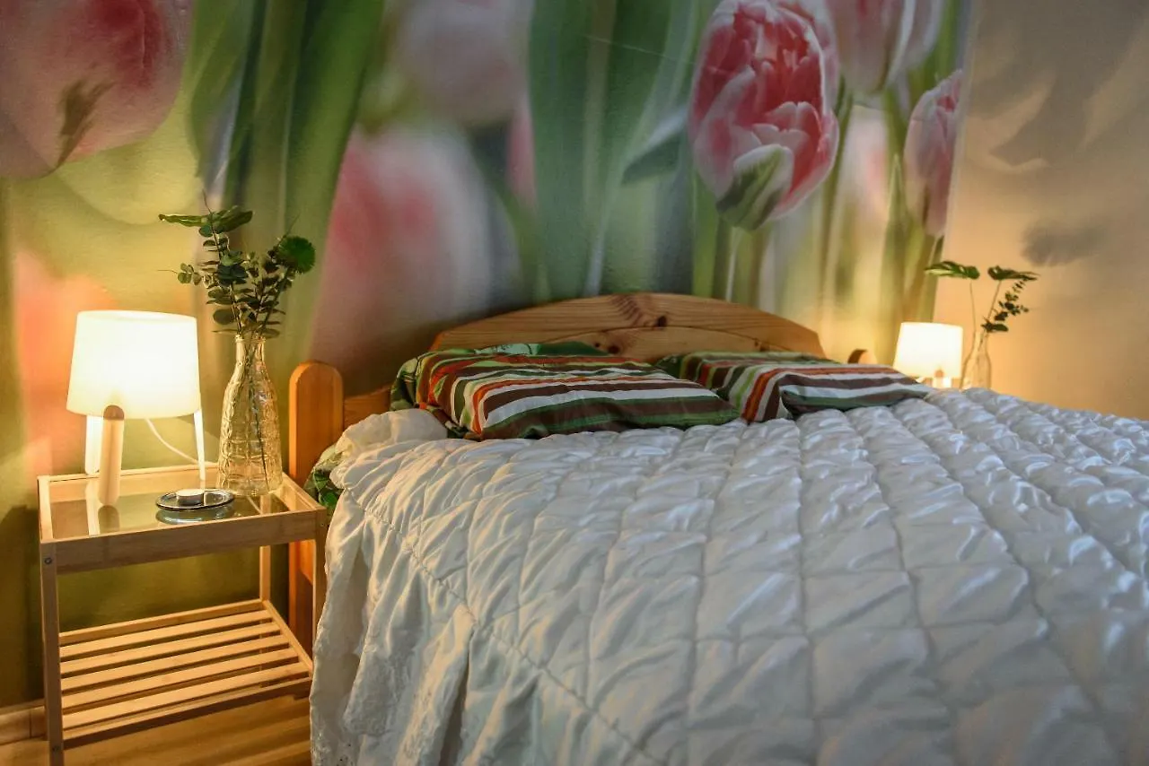 Apartments Maras Zadar Croatia